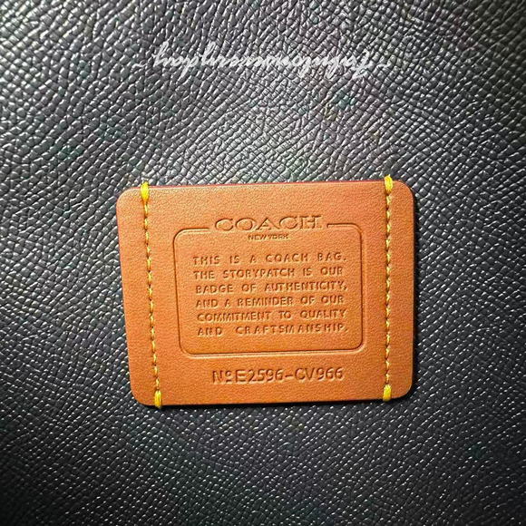 Coach Mollie Tote Bag 25 Crossbody In Leather/Kelly Green CV966 NWT - Picture 5 of 9